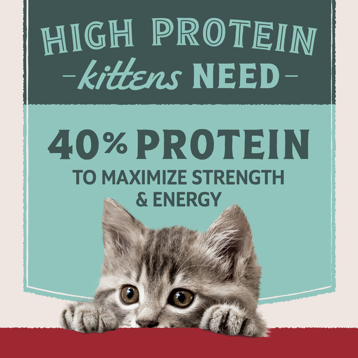 Natural Balance Ultra Protein Kitten Dry Cat Food, Real Chicken & Chicken Meal Recipe, 3 Lbs