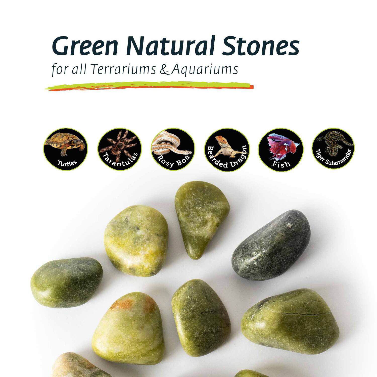 Gal&aacute;pagos Natural Terrarium Stones Habitat Decor, Green, 4-Lbs