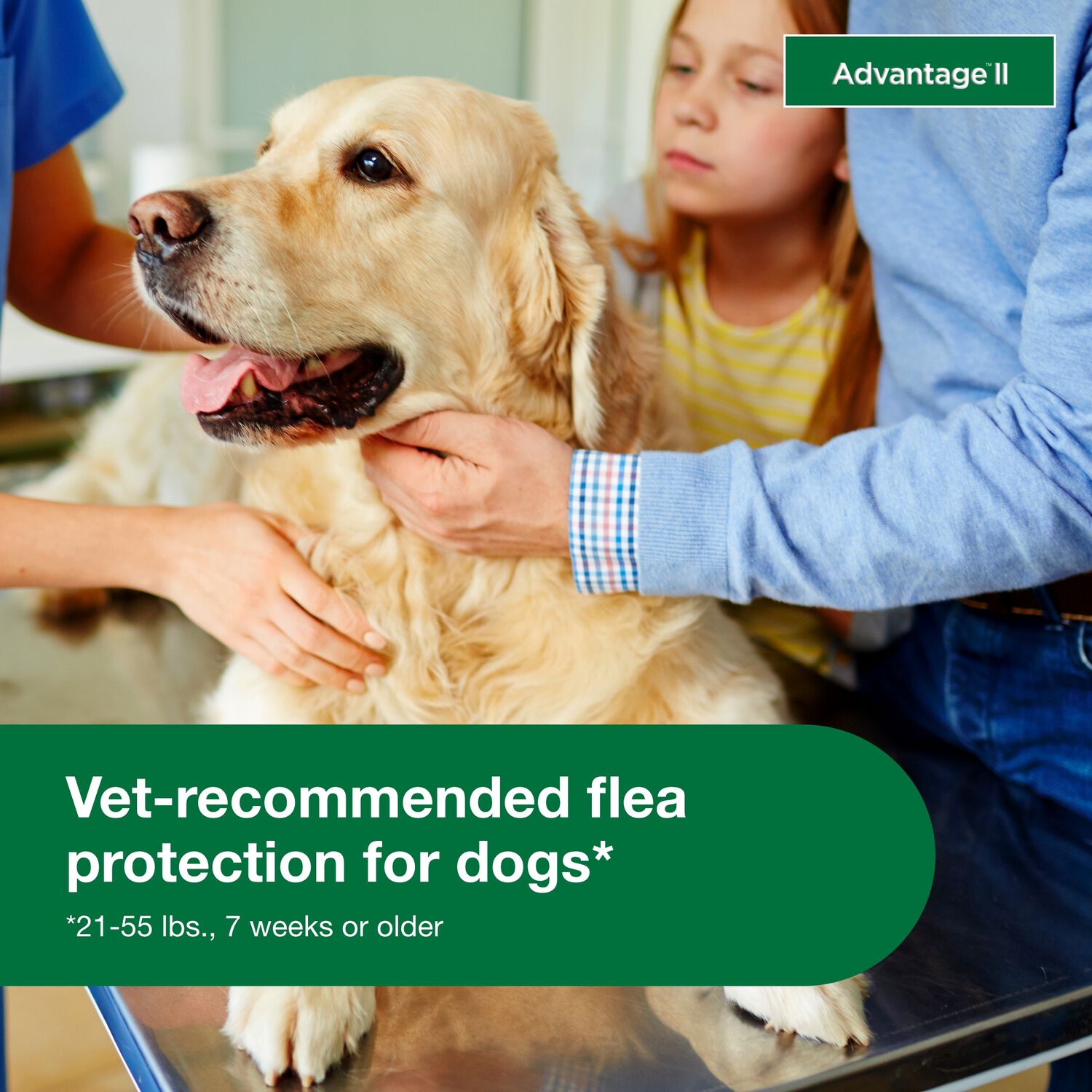 Advantage Ii Flea Treatment For Small Dogs, 3-10-Lbs, 6-Pack = 6 Months Of Protection
