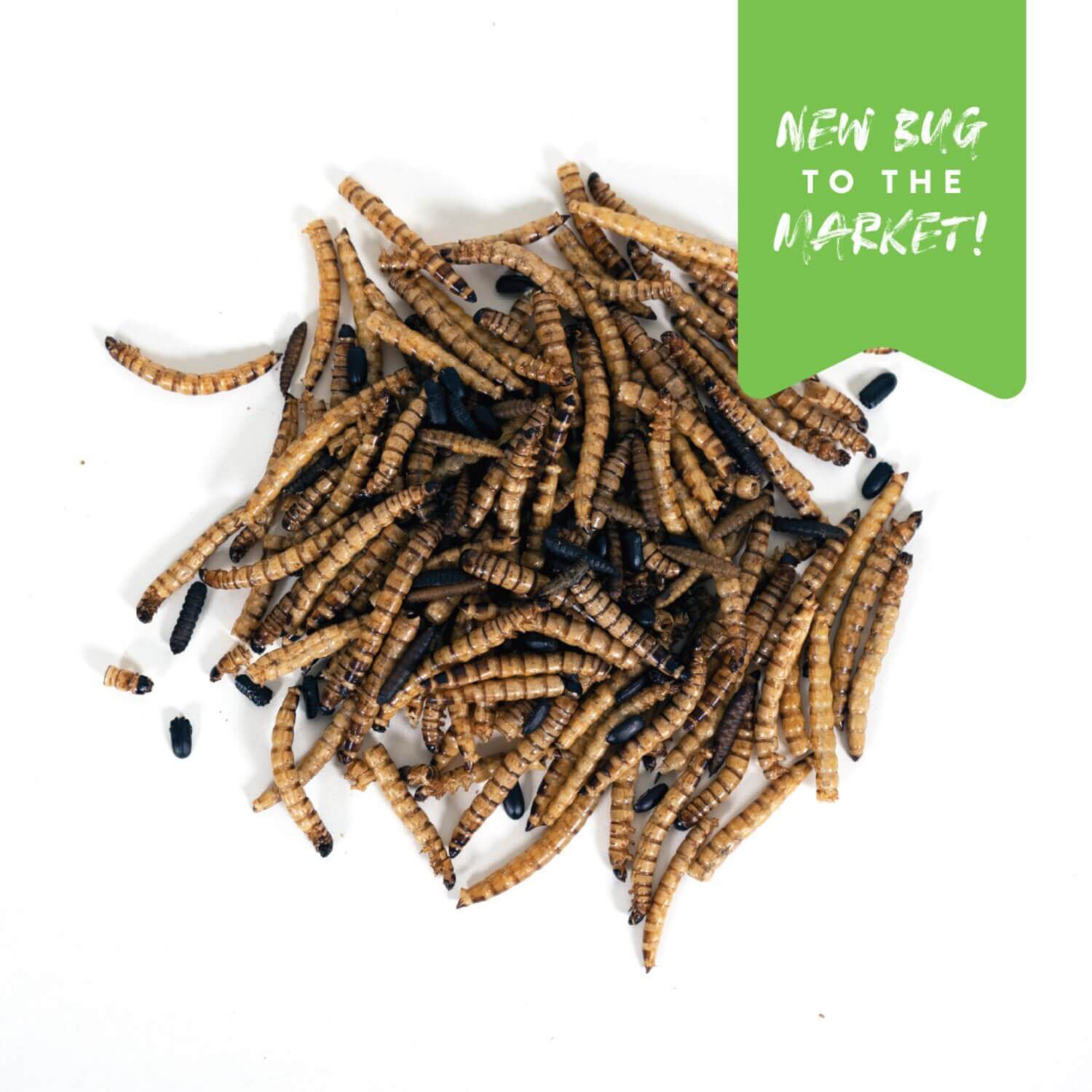 Manna Pro Superworm Swarm For Chickens & Wildbirds