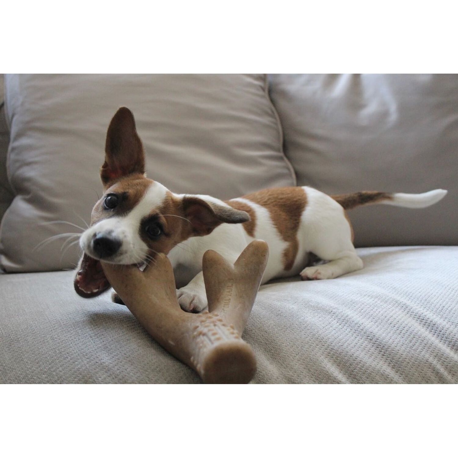 Tall Tails Antler Bacon Scented Dog Chew Toy, 7" - Large