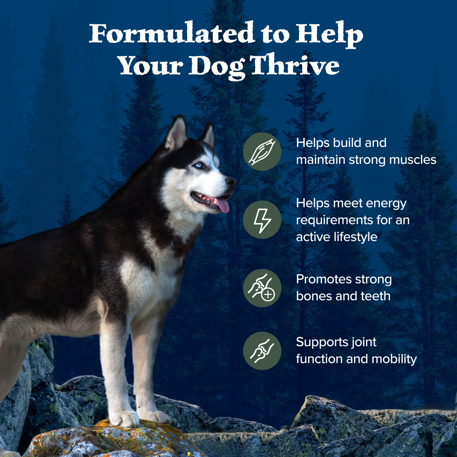 Blue Buffalo Wilderness High Protein Natural Adult Dry Dog Food With Wholesome Grains, Duck, 24Lb
