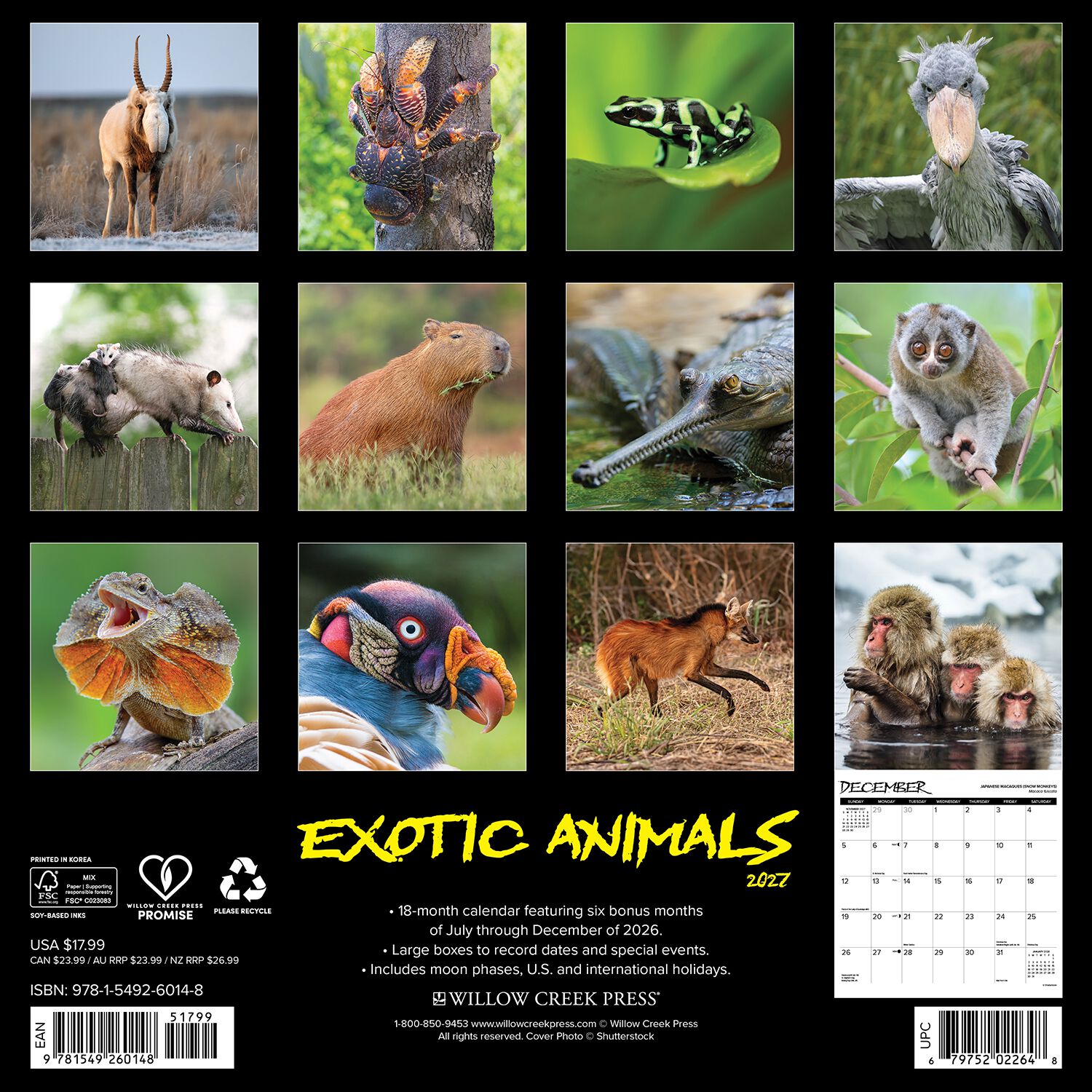 Willow Creek Press Exotic Animals  12" X 12" Wall Calendar