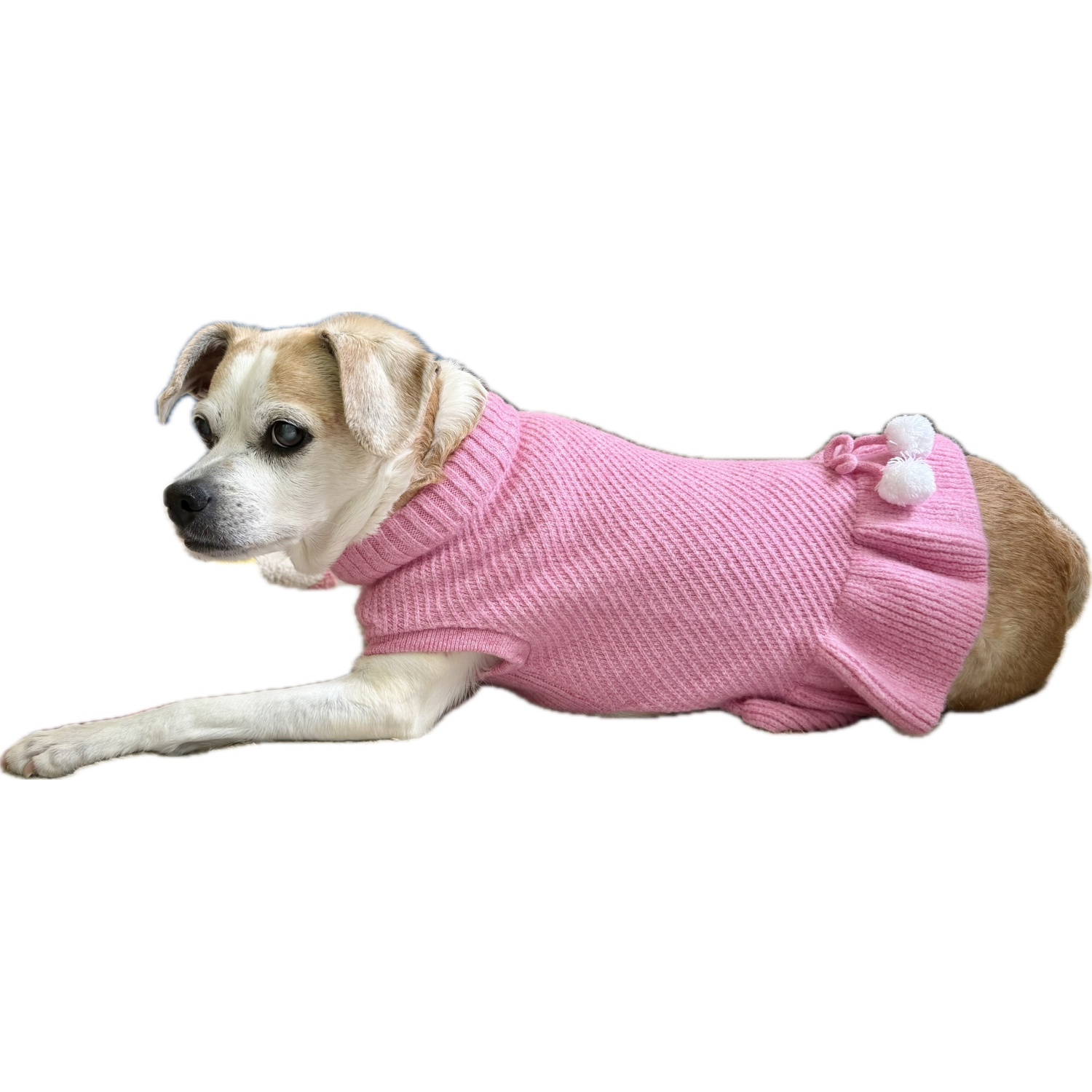 Aristopet Pink Pom Pom Knit Sweater Dog Dress, Pink, Large