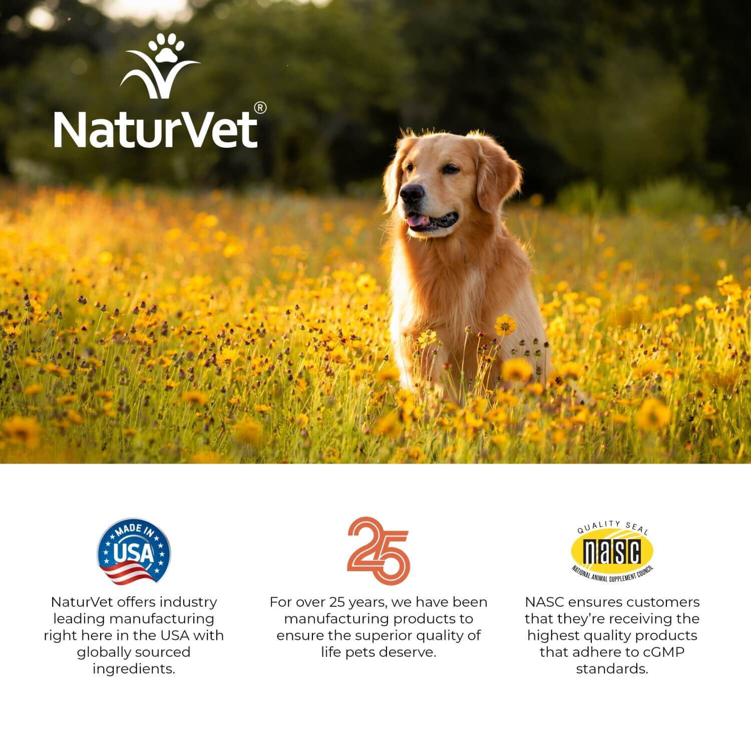 Naturvet Hemp Allergy Aid Soft Chews For Dogs