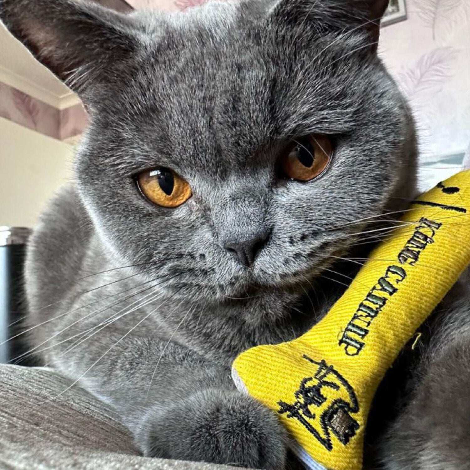 King Catnip Sprat Cat Toy With Organic Catnip