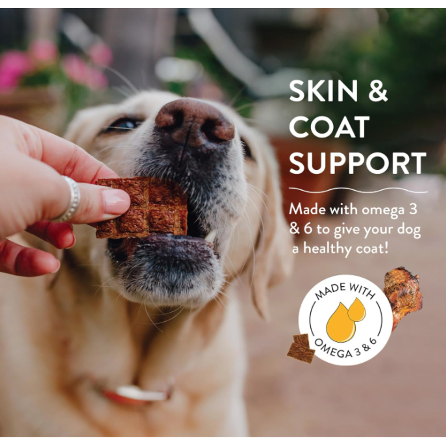 Shameless Pets Berry Had A Little Lamb Jerky Bites Dog Treats, Cranberry & Lamb, 4.5Oz