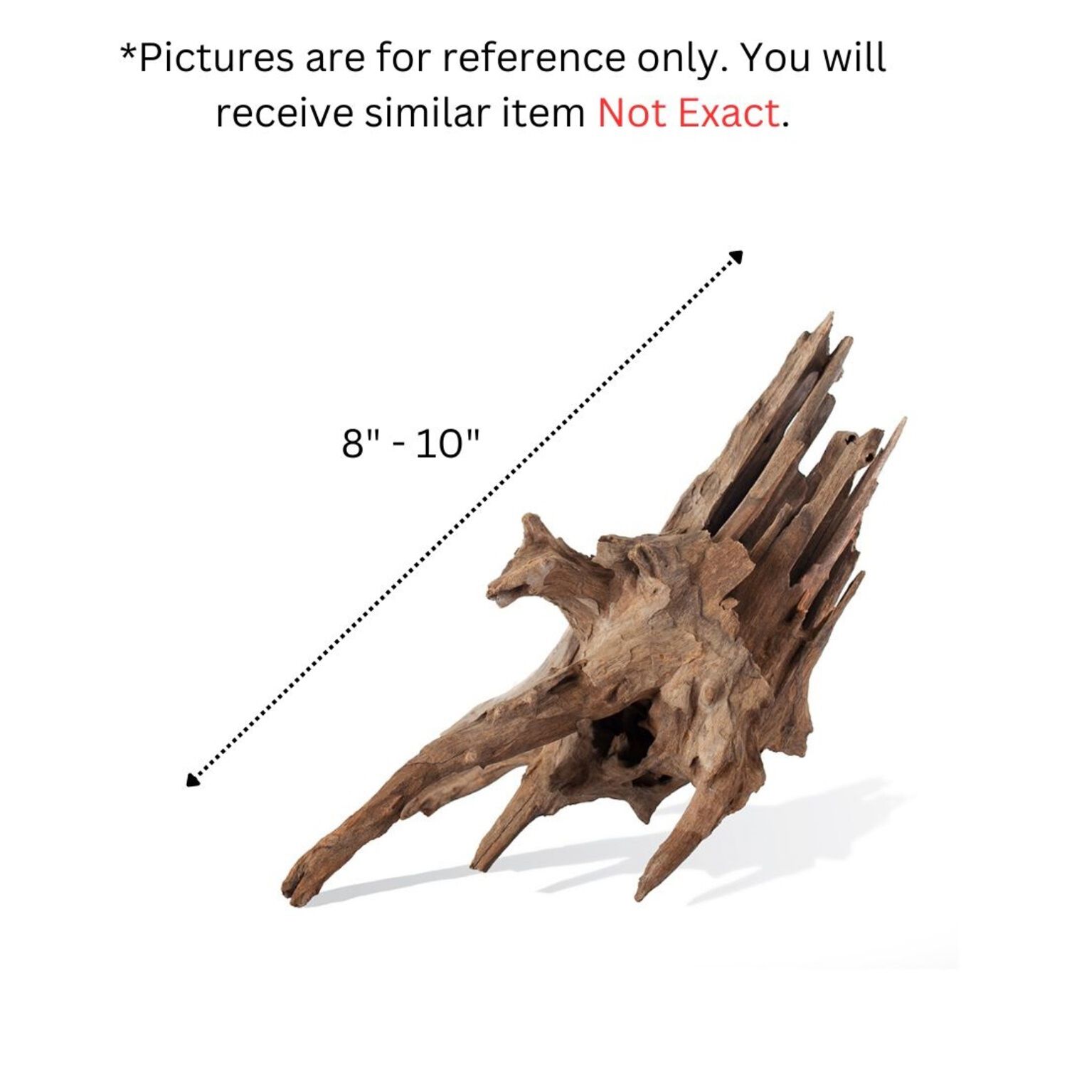 Gal&aacute;pagos Hollow Tree Root, Driftwood Aquarium And Terrarium Decor, Natural, 12-16"