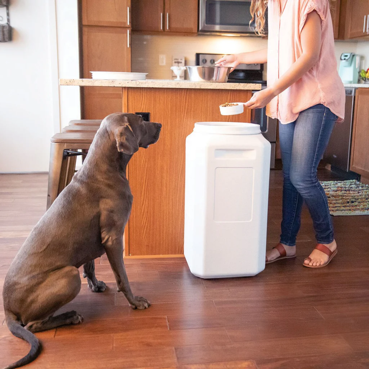 Vittles Vault Outback Waterproof, Insect & Pest-Proof Pet Food Storage Container, 50-Lb Capacity
