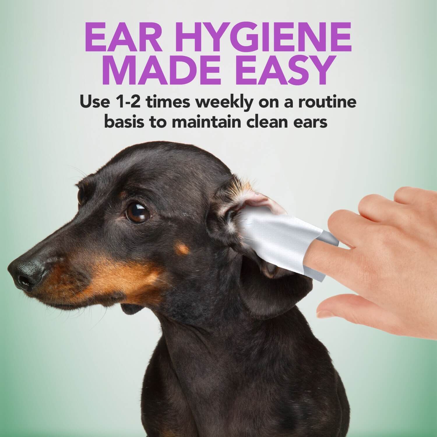Vet's Best Ear Relief Finger Wipes For Dogs, 50 Ct