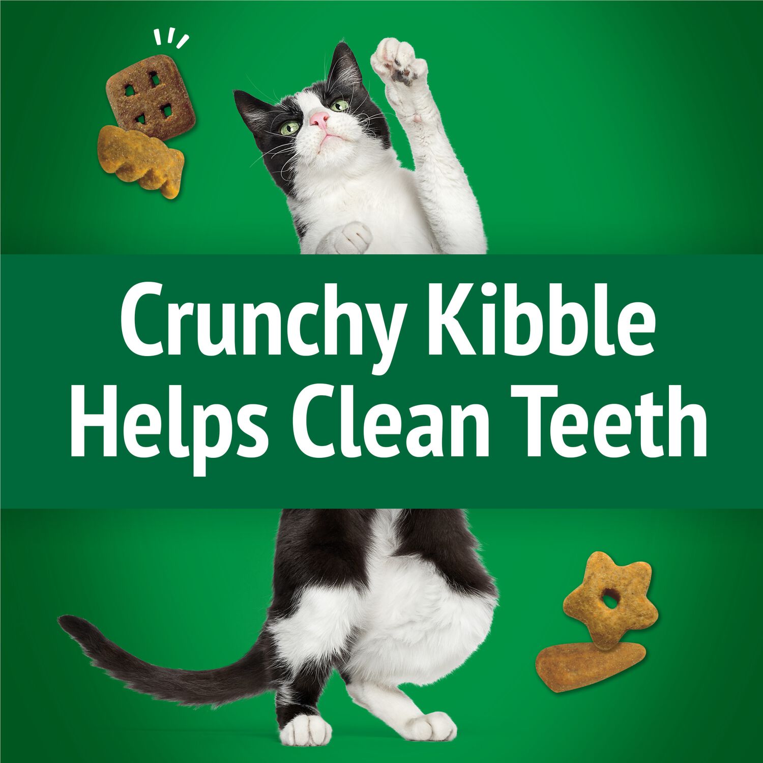 Purina Friskies Party Mix Picnic Crunch Flavor Crunchy Cat Treats, 6-Oz.