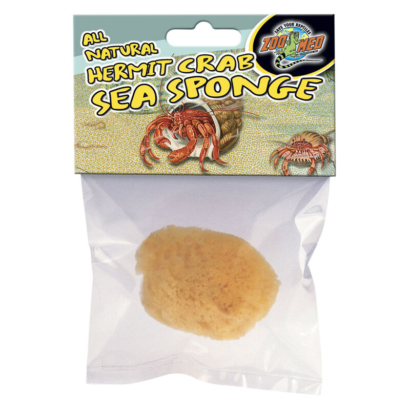 Hermit Crab Sea Sponge For Reptile Enclosures image number 1