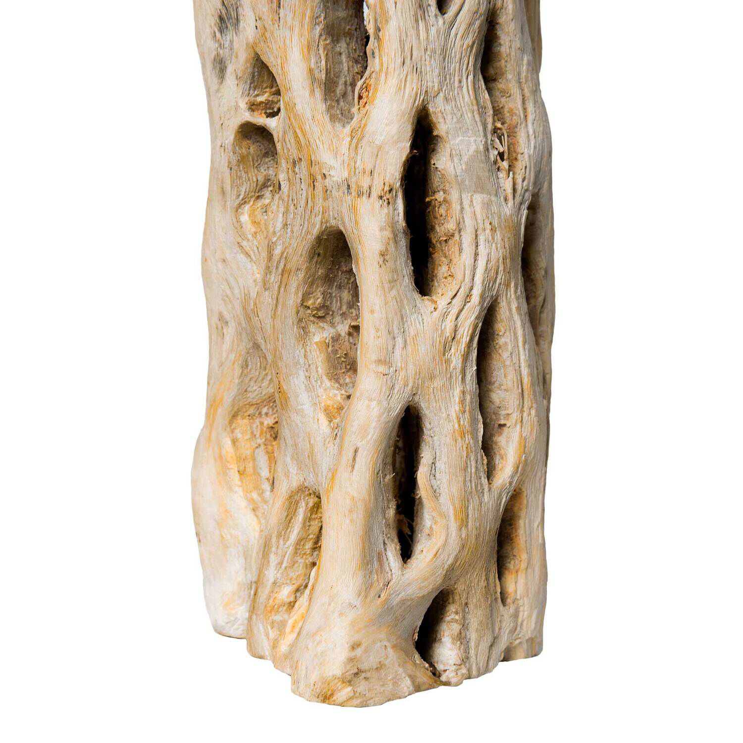 Gal&aacute;pagos Cholla Wood Branches Natural Reptile Habitat Decor Approximately 12In