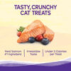 Kittles Salmon & Cranberries Recipe Cat Treats thumbnail number 2