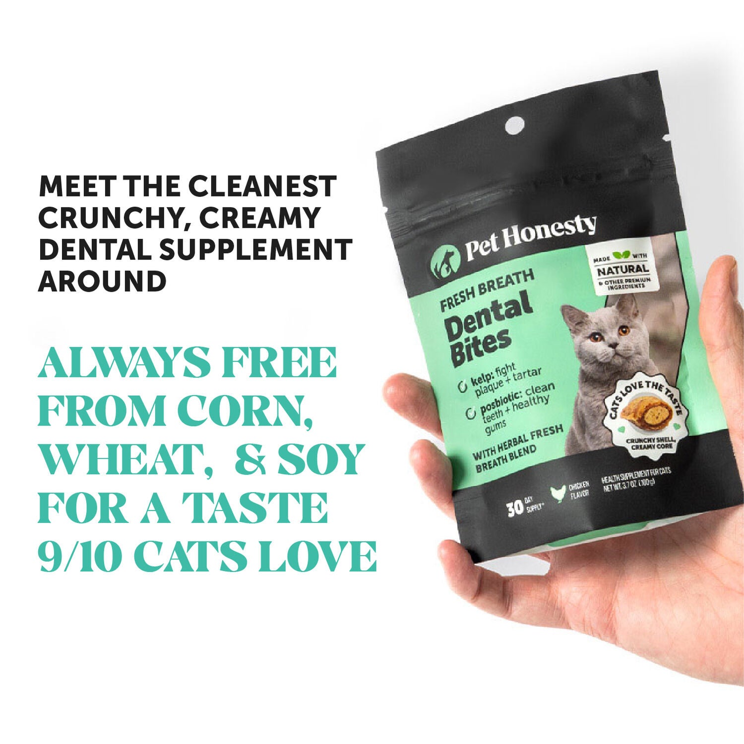 Pet Honesty Fresh Breath Chicken Flavor Dental Bites Crunchy Cat Supplements, 3.7-Oz Pouch