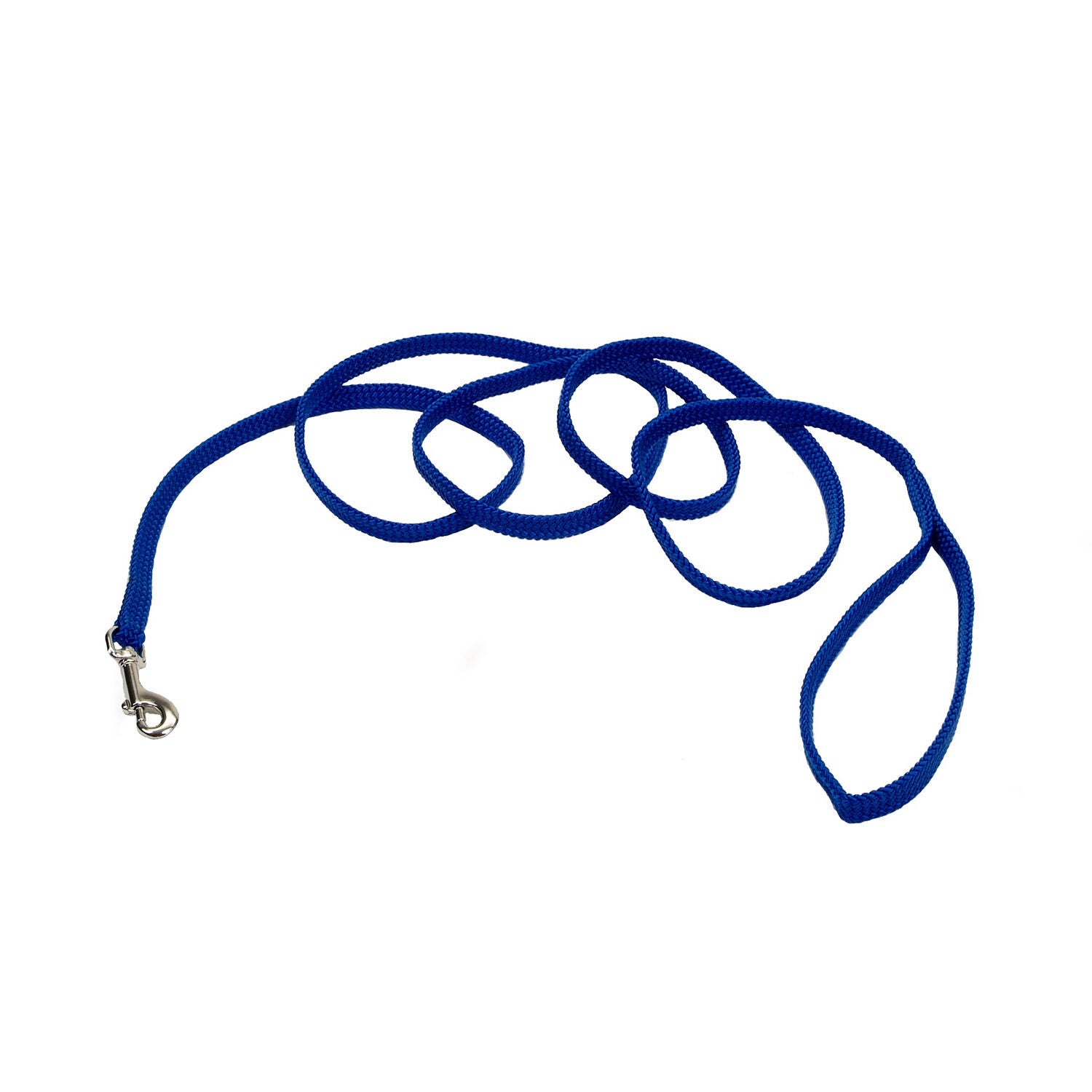 Coastal Pet Products Sunburst Nylon Dog Leash, 3/8" X 6' - Blue