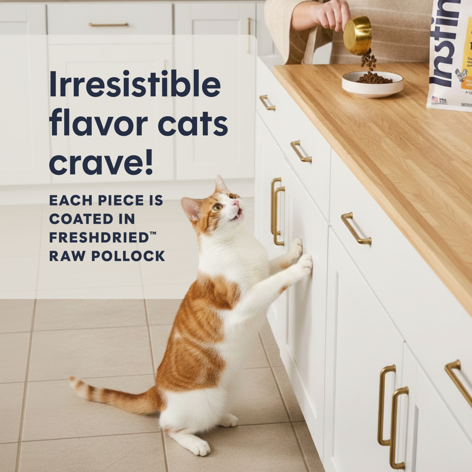 Instinct Original Grain-Free Recipe With Real Chicken Dry Cat Food, 5-Lb Bag