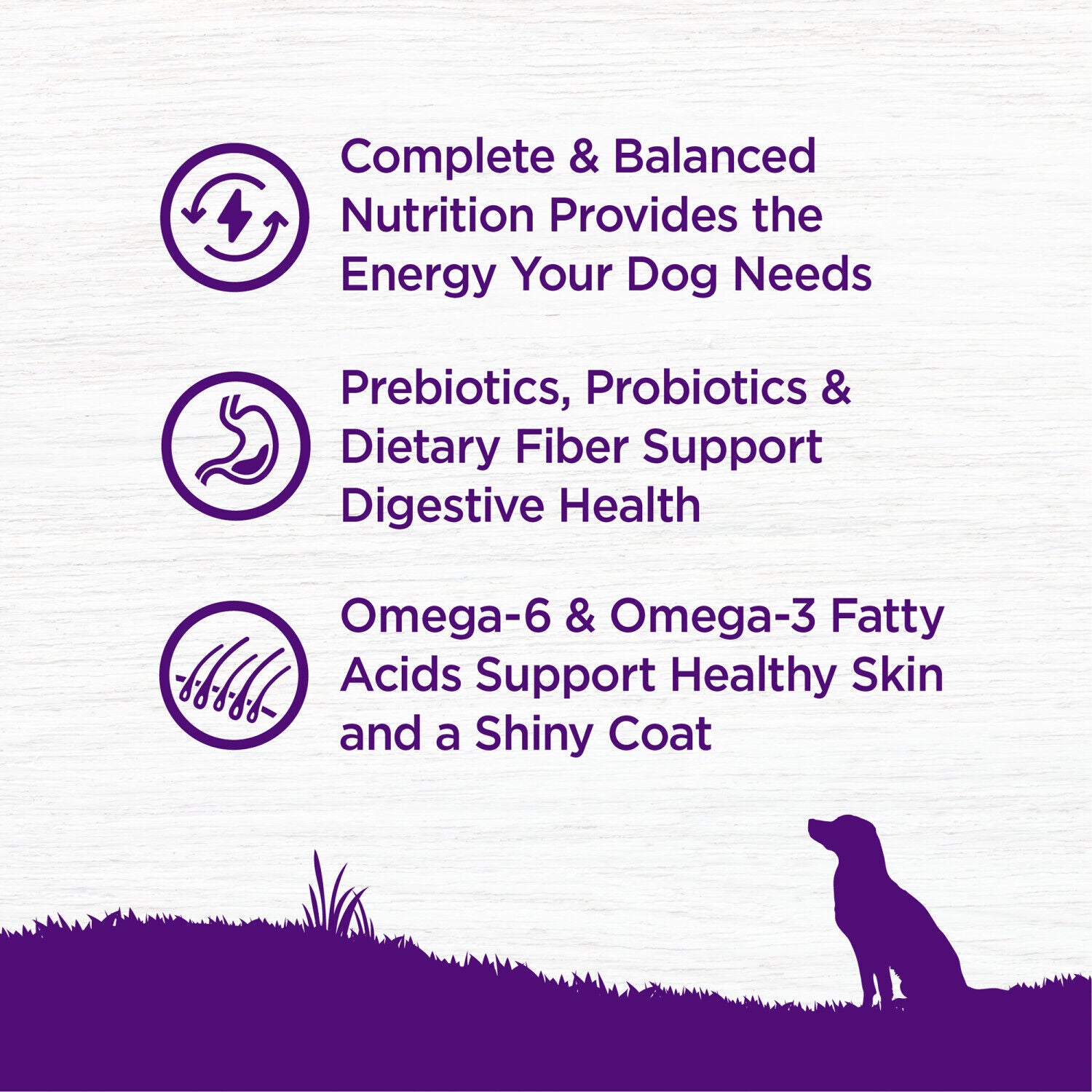 Wellness Complete Health Dry Dog Food, Grain Free, Natural, Chicken Recipe, 22-Pound Bag