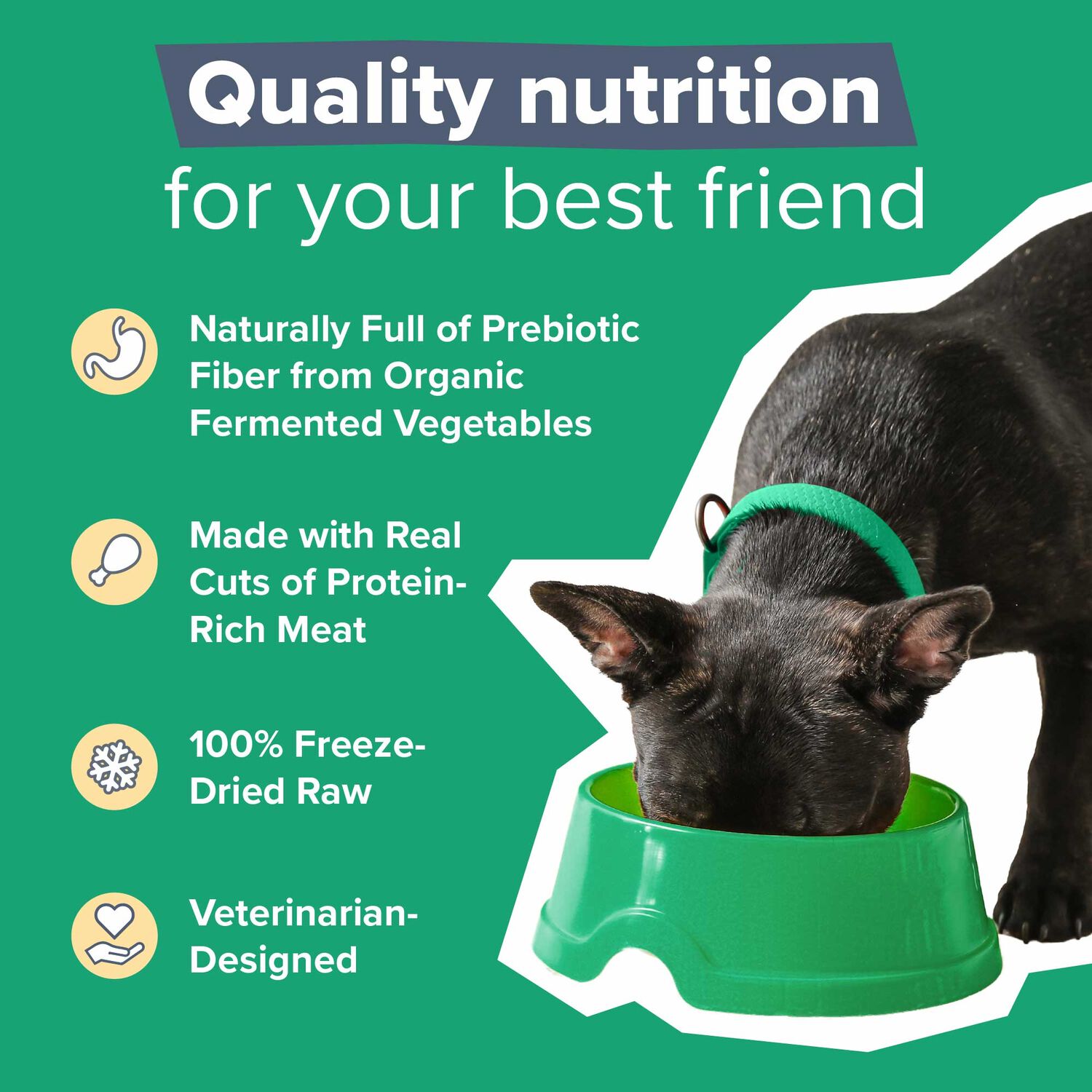 Dr. Marty Nature's Blend Healthy Digestion Freeze-Dried Raw Adult Dog Food, 48-Oz Bag