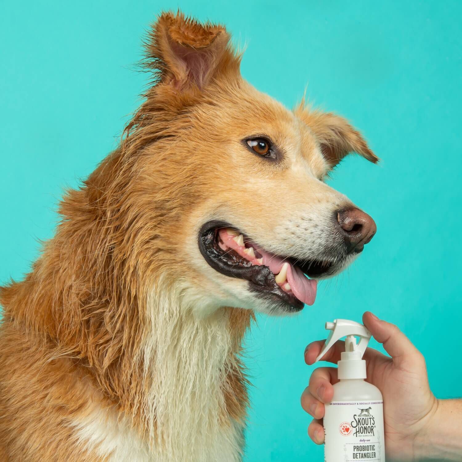 Skout's Honor Daily Use Probiotic Detangler For Dogs, Lavender Scented