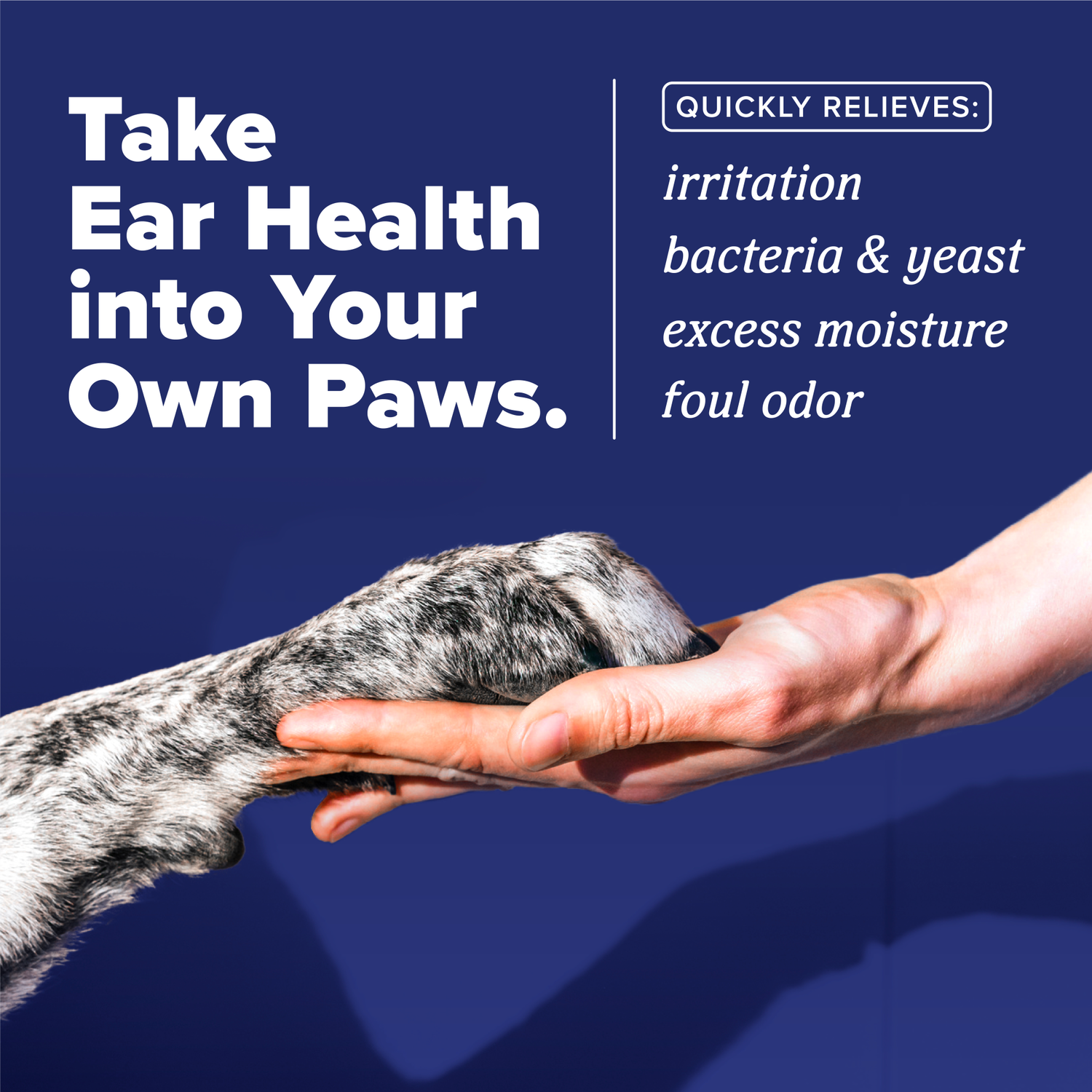 Tropiclean Homevet Medicated Ear Drops For Dogs, Vet Recommended Yeast & Fungal Treatment, Daily Dog Ear Cleaner, 2-Oz