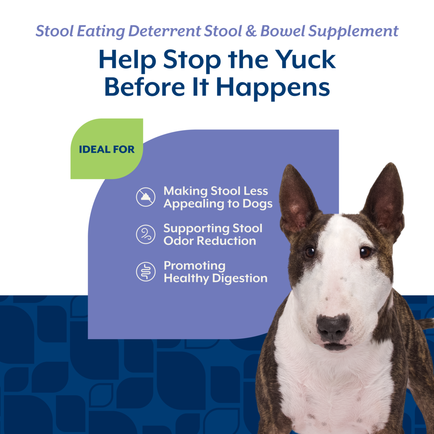 Naturvet Coprophagia Stool Eating Deterrent +Breath Aid Soft Chews Supplement For Dogs