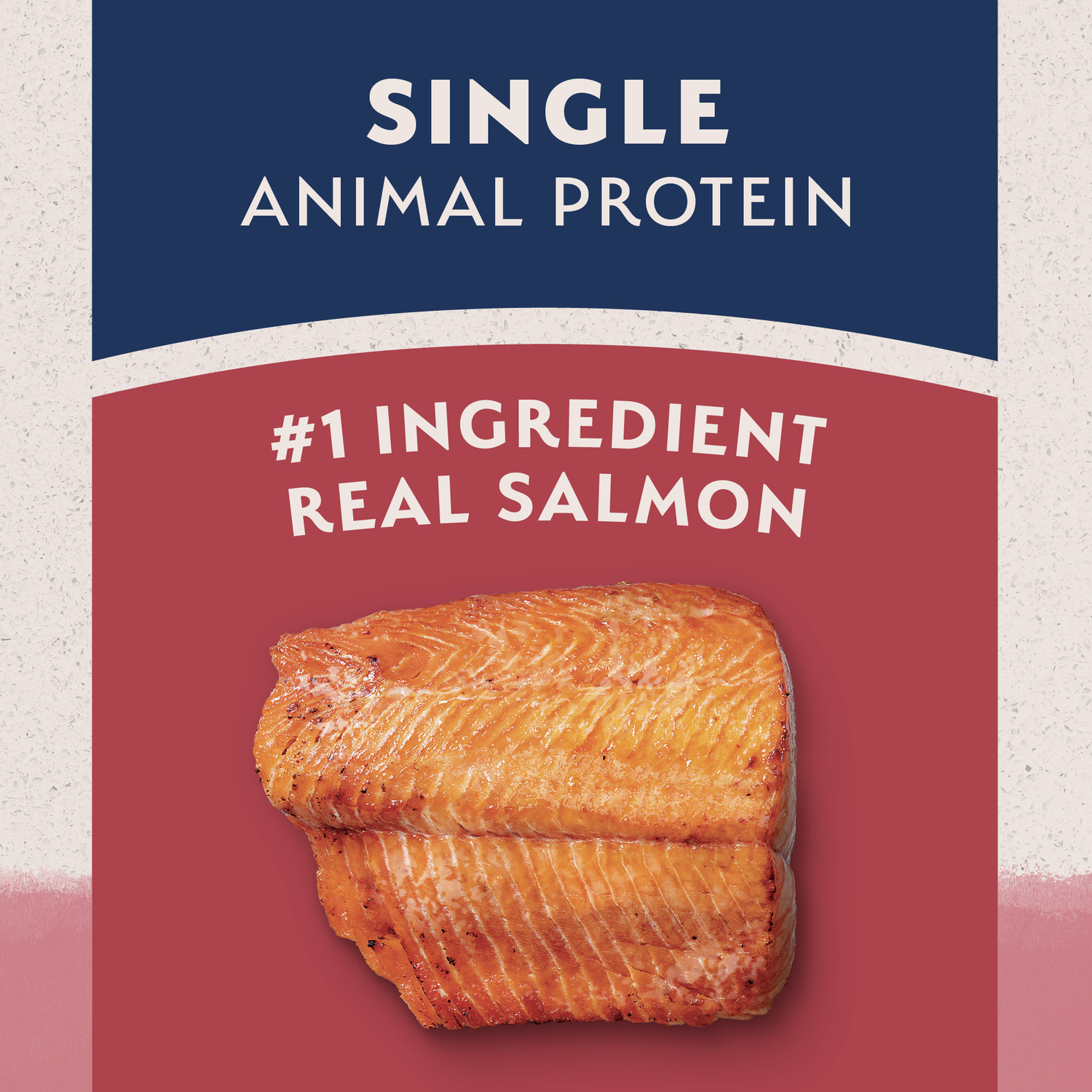 Natural Balance Limited Ingredient Dry Dog Food, Salmon & Brown Rice Recipe, 4 Lbs.