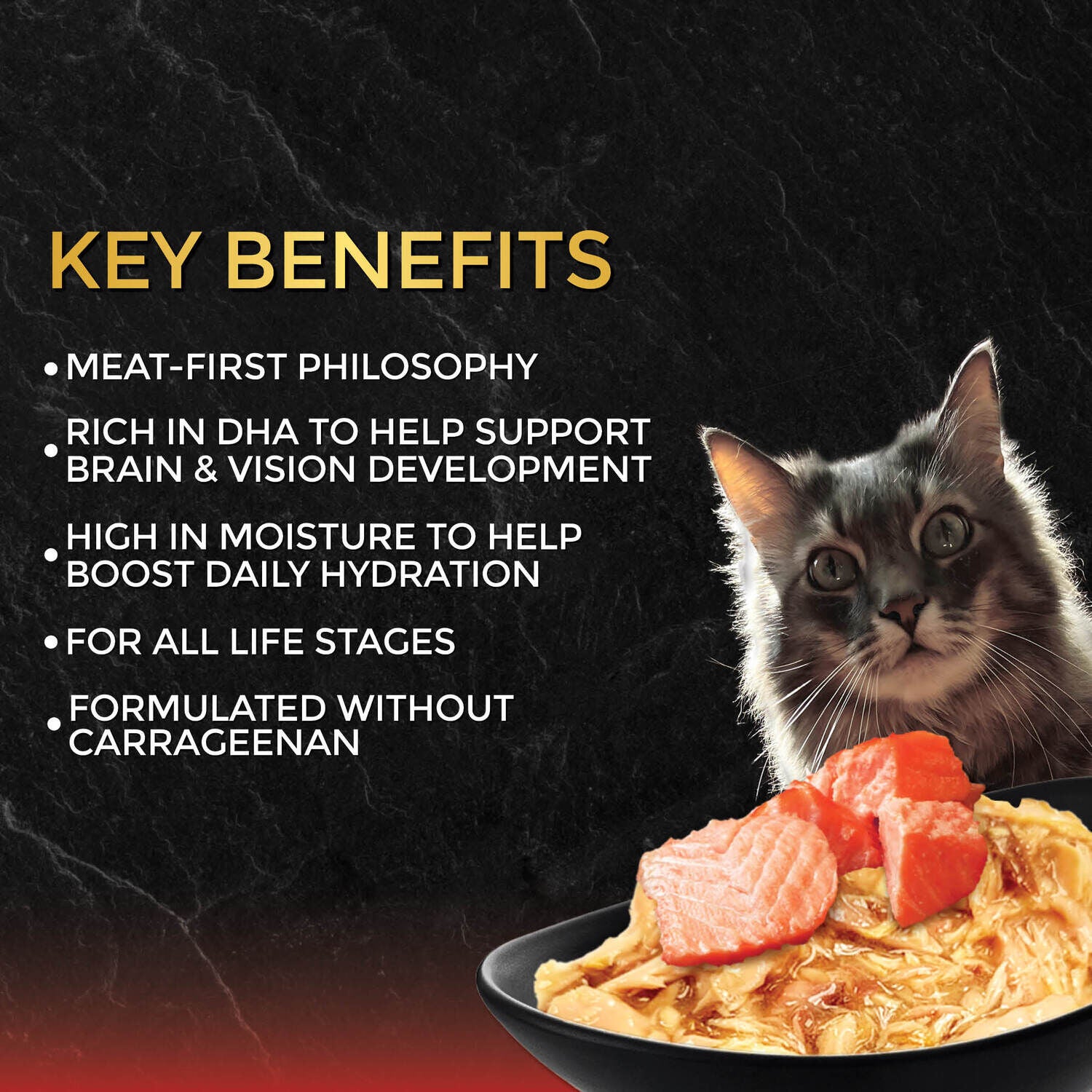 Fussie Cat Premium Wet Cat Food, Tuna With Salmon In Gravy - 2.82 Oz