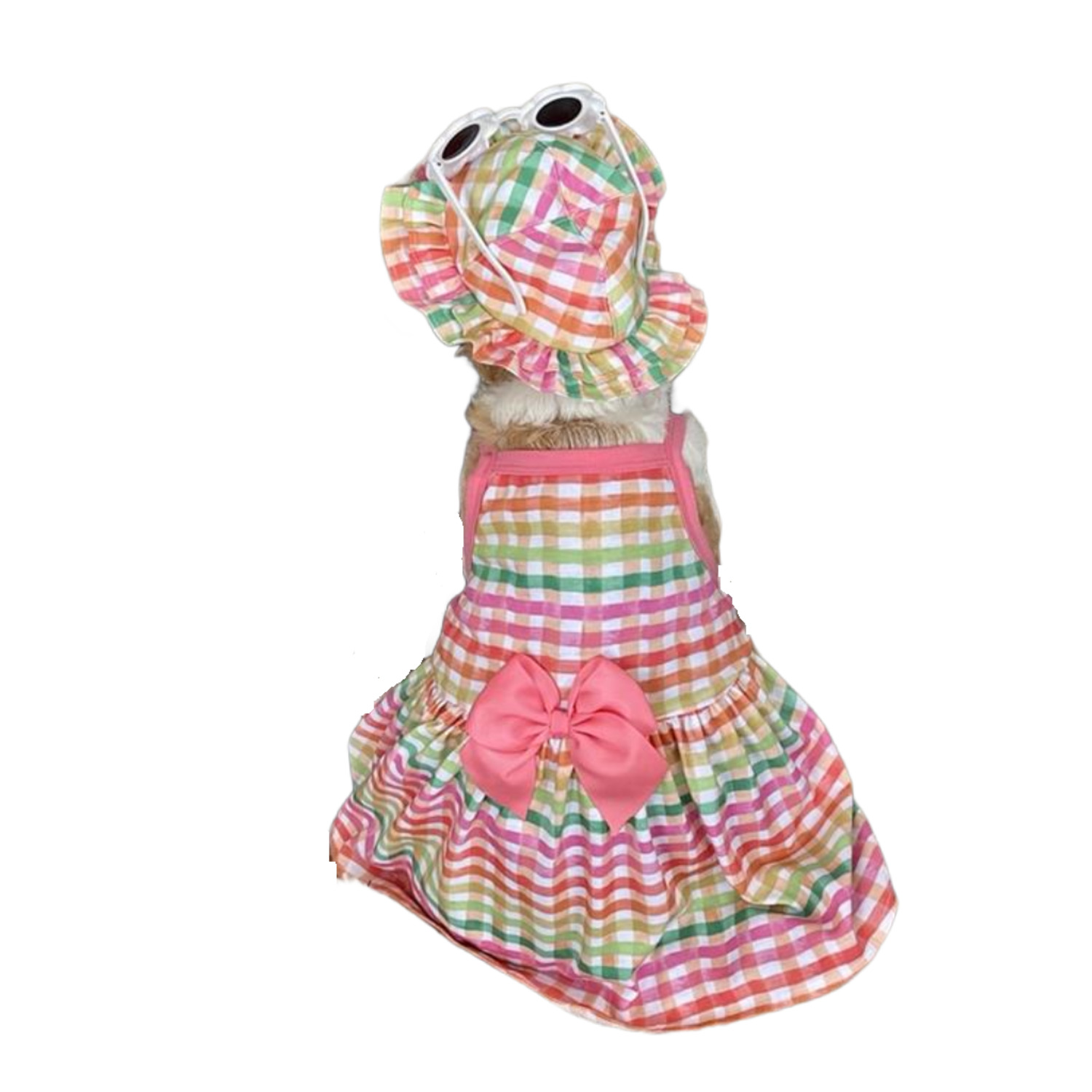 Bailey & Bella Multi-Colored Bright Gingham Dog Dress & Hat Set, Extra Large