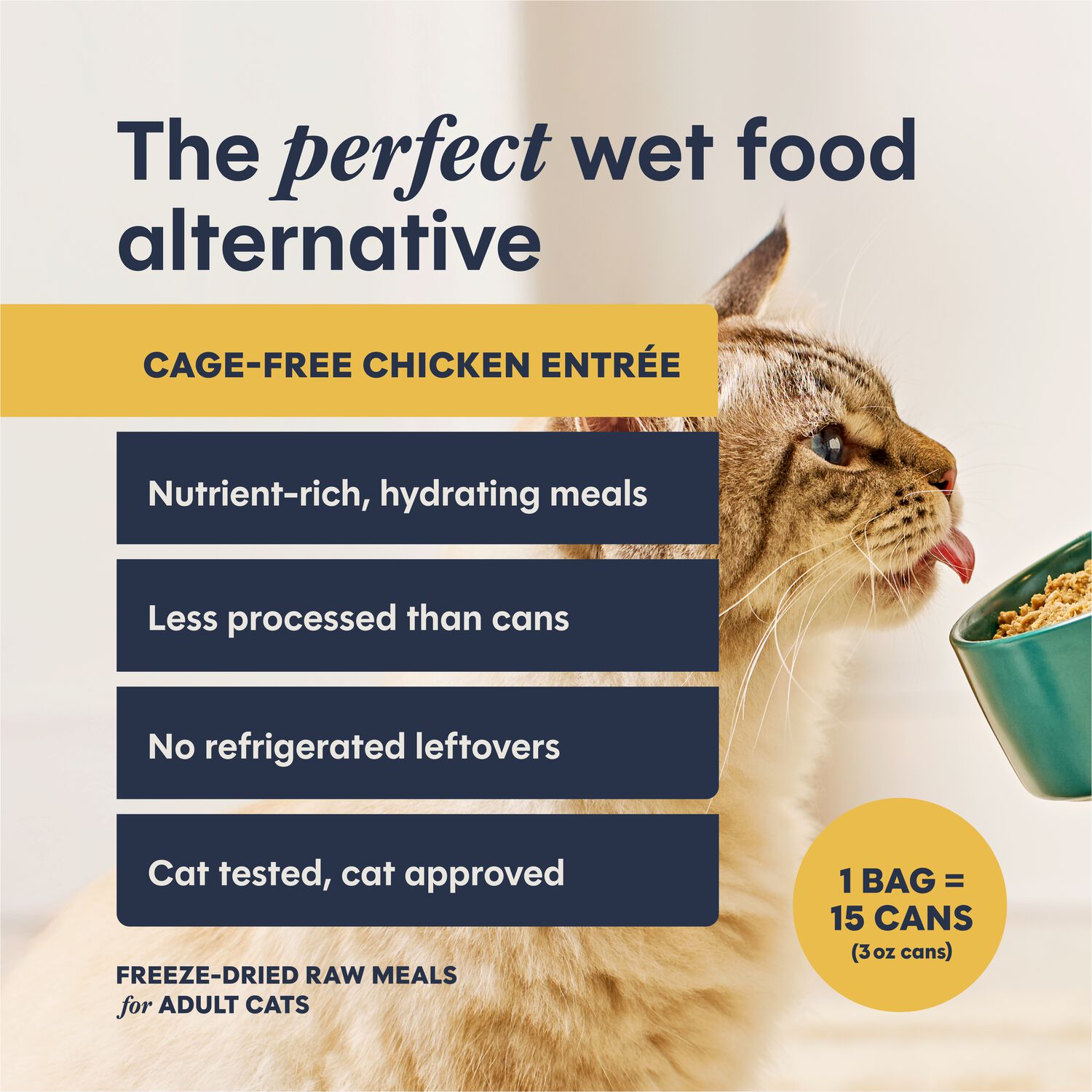 Instinct Freshdried Pates Grain-Free Freeze-Dried Raw Adult Cat Food, Cage-Free Chicken Entr&eacute;e, 13-Oz Bag
