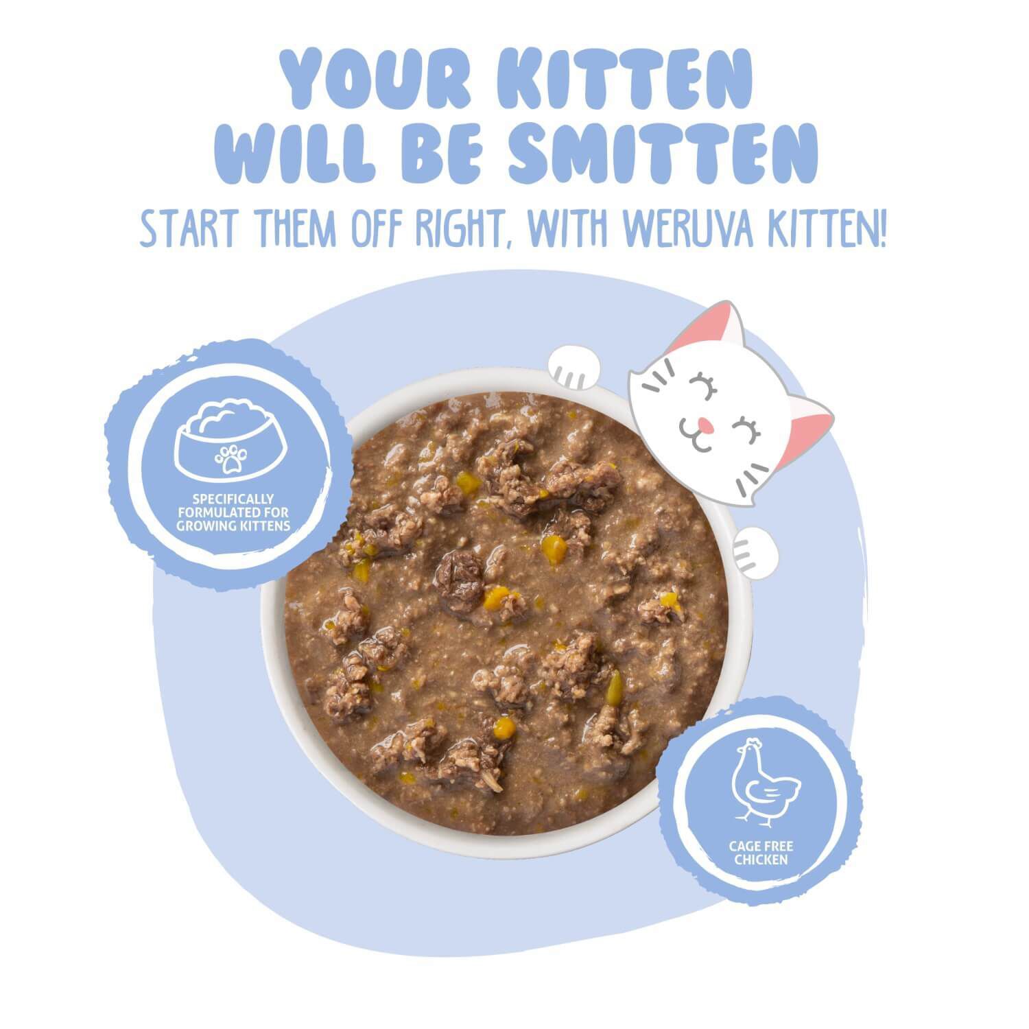 Weruva Kitten Grain Free Chicken & Pumpkin Formula In Gravy Wet Cat Food, 3-Oz Can