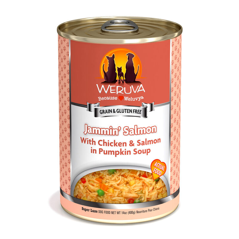 Jammin' Salmon With Chicken & Salmon In Pumpkin Soup Dog Food image number 1
