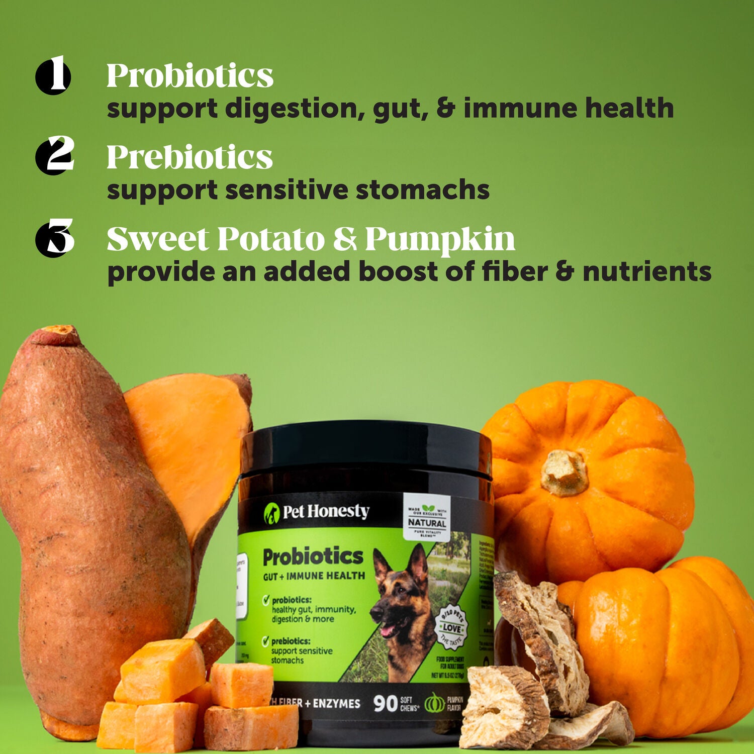 Pet Honesty Probiotics Gut & Immune Health Soft Chew Dog Digestive Health Supplement, Pumpkin Flavor, 90-Count