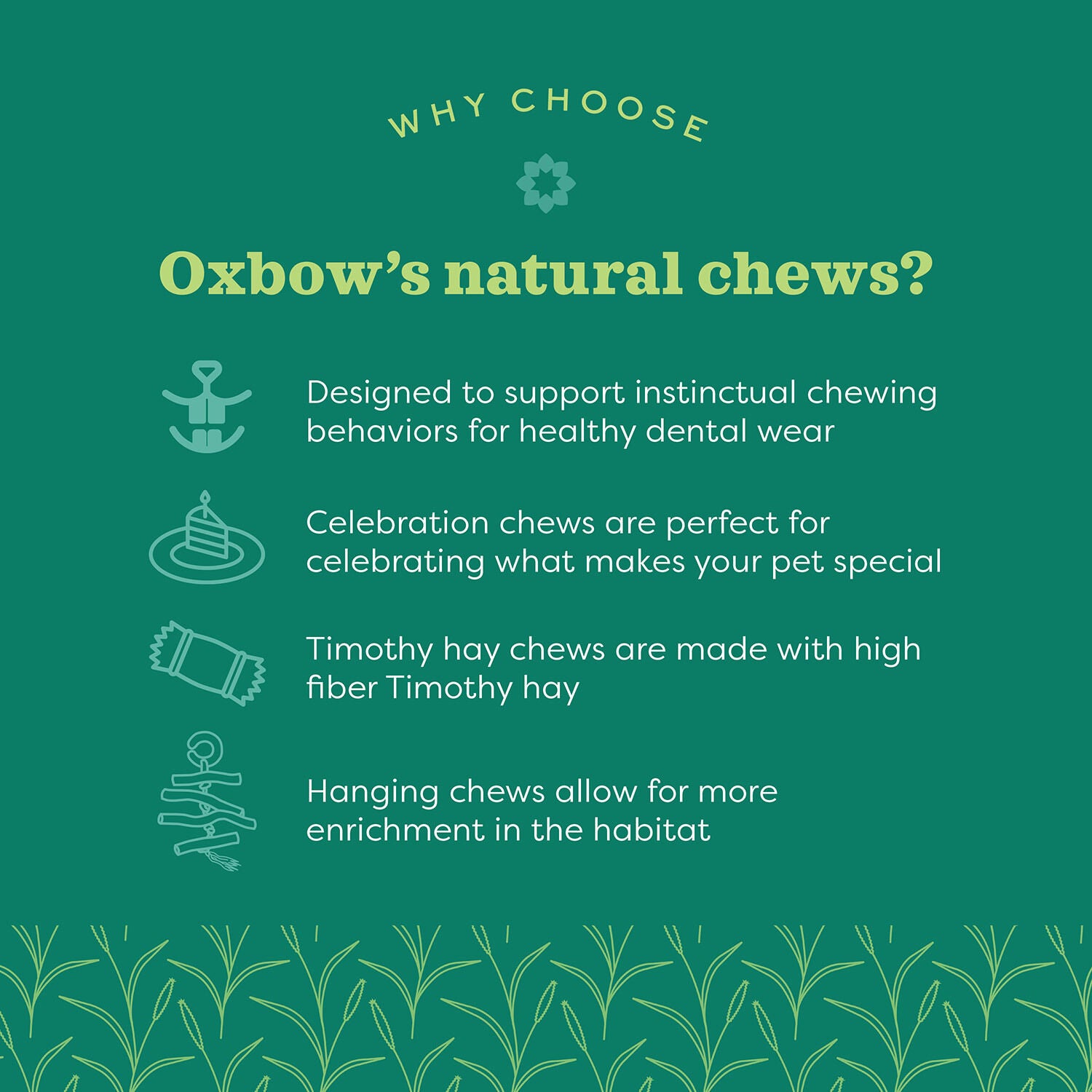 Oxbow Enriched Life Ox Blocks