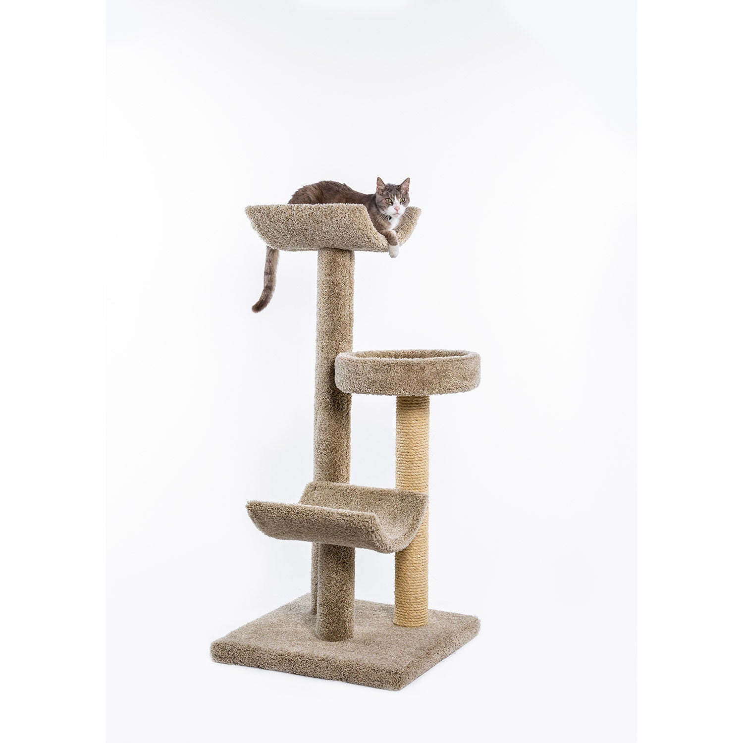 jump brand cat tree