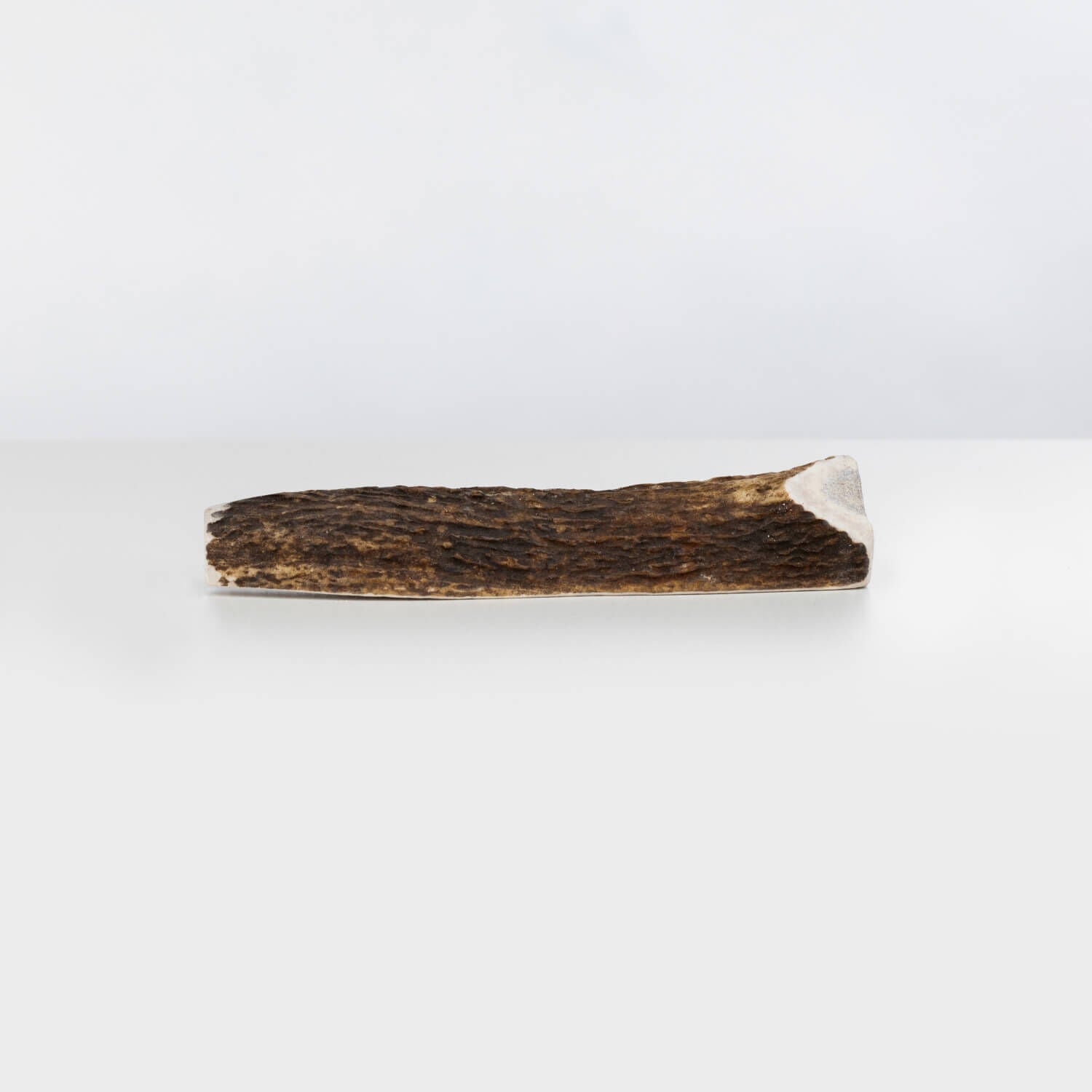 Primal Stag Antler, Medium 1ea Pet Supermarket