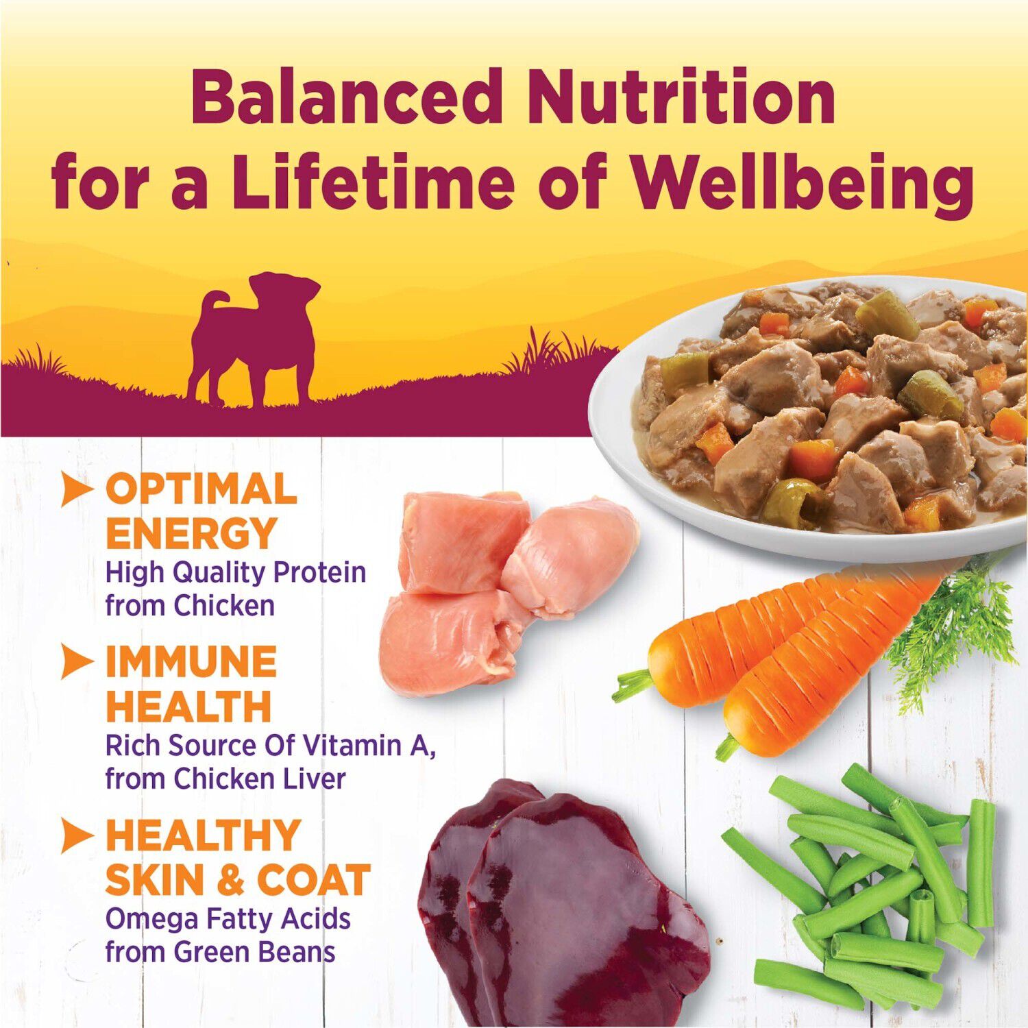 Wellness Petite Entr&eacute;es Mini-Filets Wet Dog Food With Roasted Chicken, Beef, Carrots & Green Beans In Gravy, 3-Ounce Cup