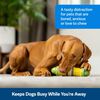 Pet Safe® Busy Buddy Cravin’ Corncob thumbnail number 3