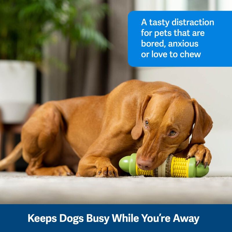 Pet Safe® Busy Buddy Cravin’ Corncob image number 3