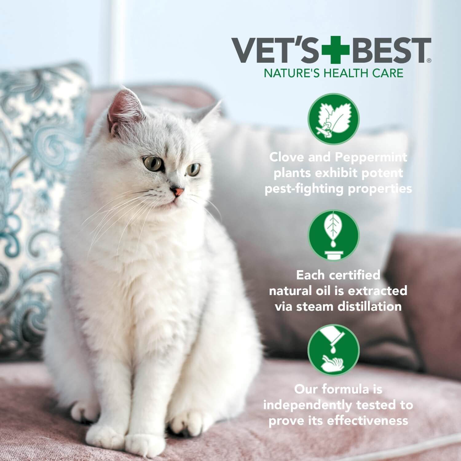 Vet's best flea and tick waterless cat bath reviews top