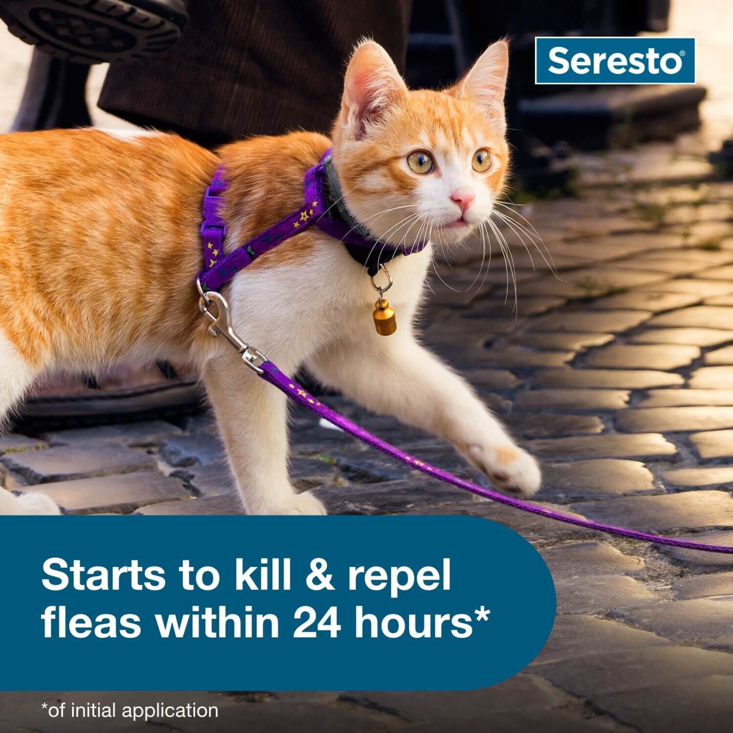 Seresto Flea & Tick Treatment & Prevention Collar For Cats, 8 Months Protection