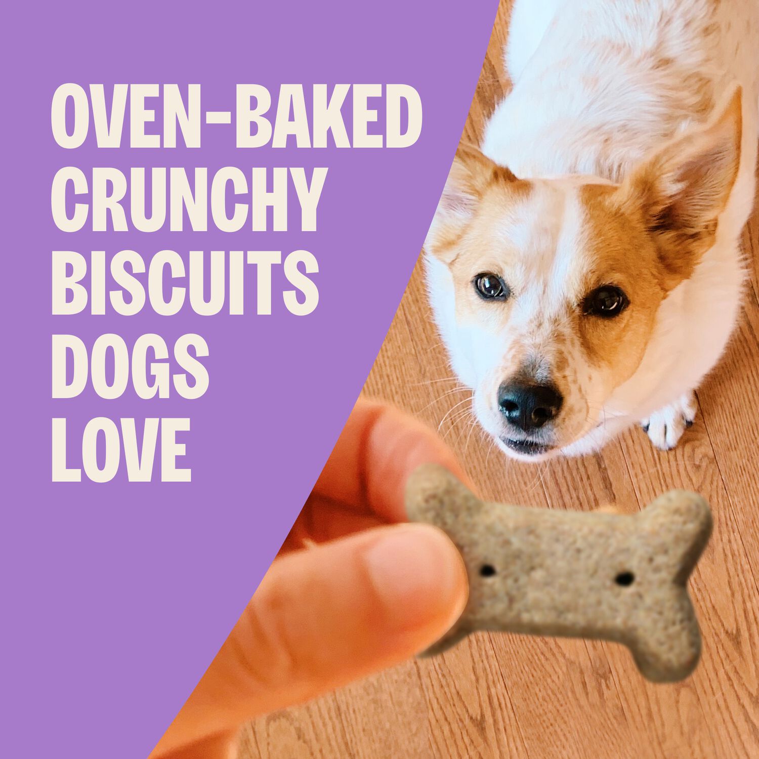 Old Mother Hubbard By Wellness All The Fixins Grain-Free Crunchy Biscuits Dog Treats, Turkey & Sweet Potato, 16-Oz