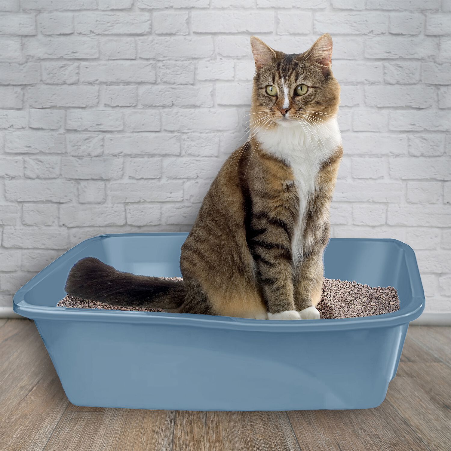 Van Ness Cat Litter Pan, Mocha Beige-Giant