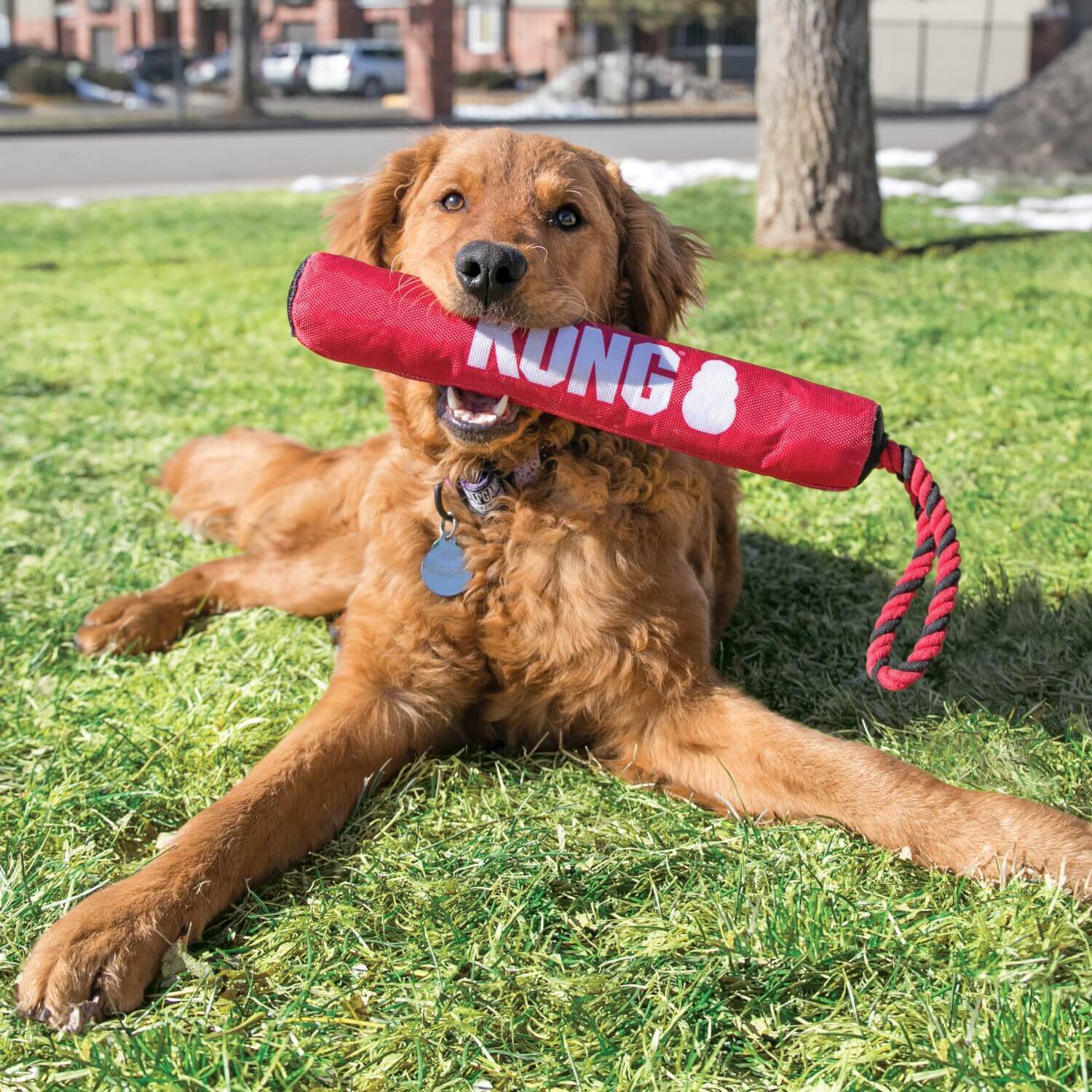 Kong Signature Stick With Rope Fetch & Tug Dog Toy, 12"