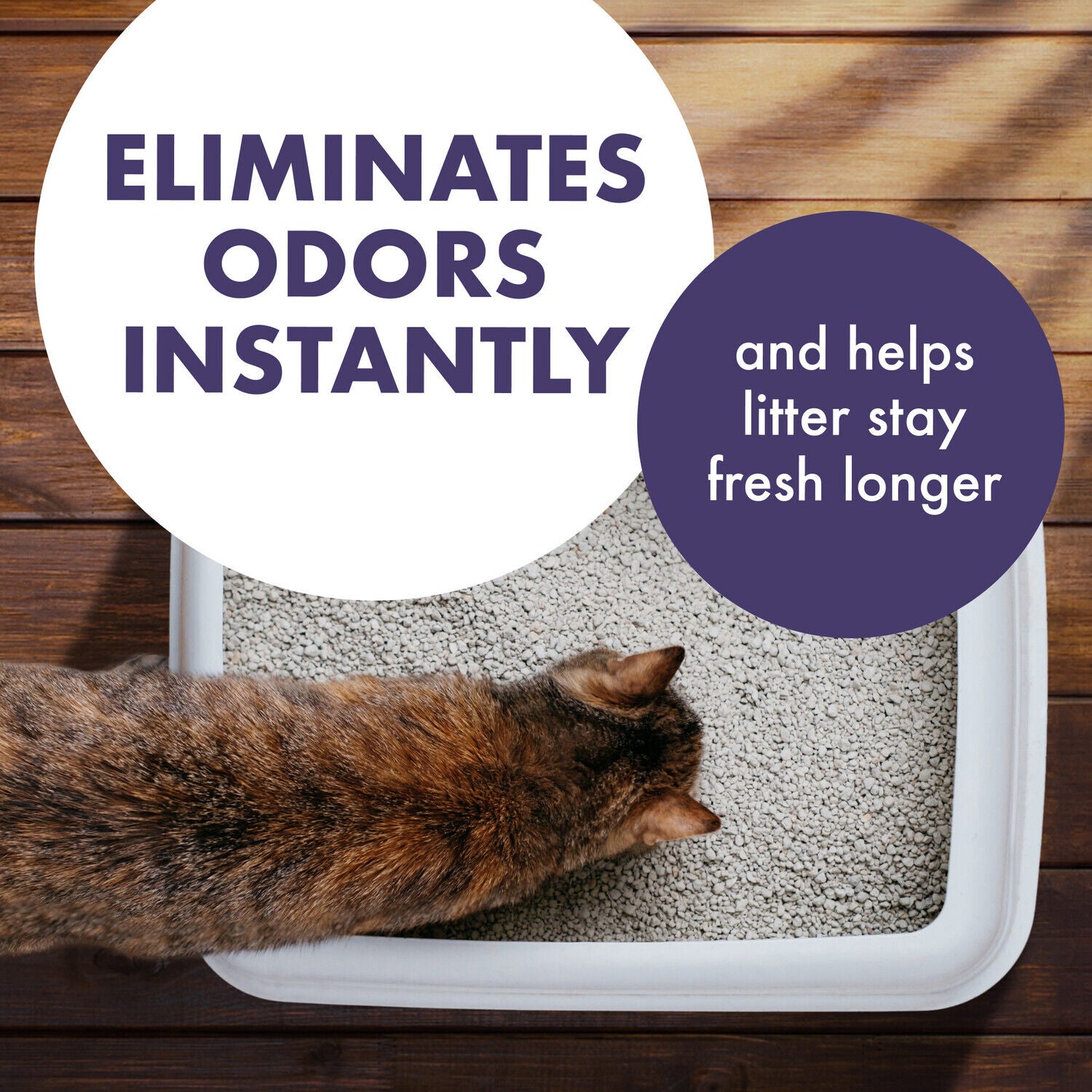 Arm & Hammer Forever Fresh Lavender Scented Cat Litter Deodorizer, 30Oz
