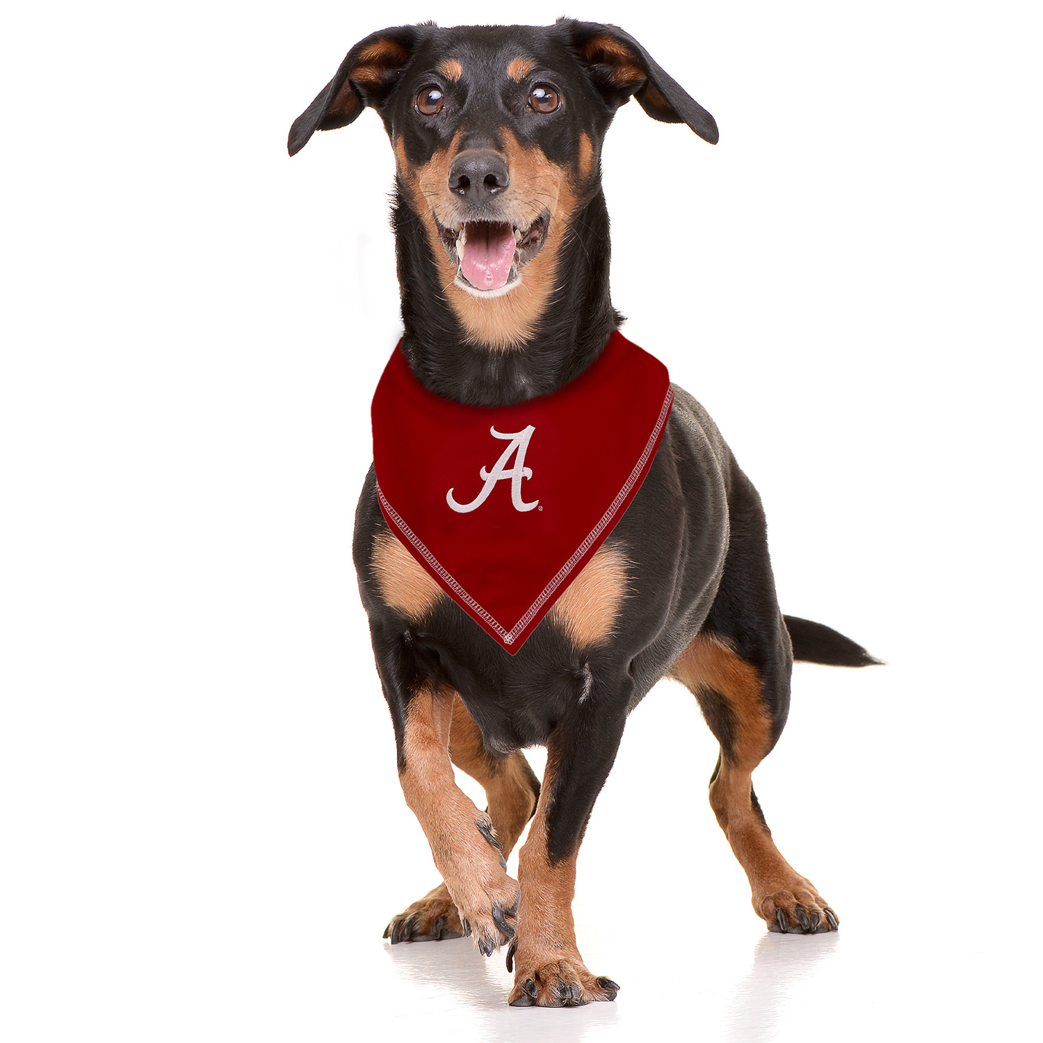 Pets First University Of Alabama Crimson Tide Tie-Around Dog Bandana, Small/Medium