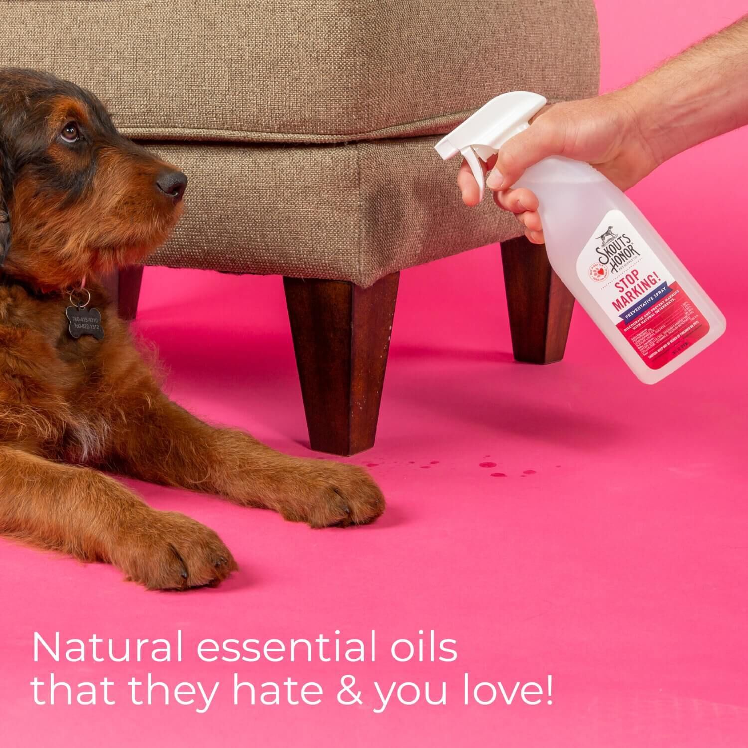 Skout's Honor Stop Marking! Preventative Spray For Dogs