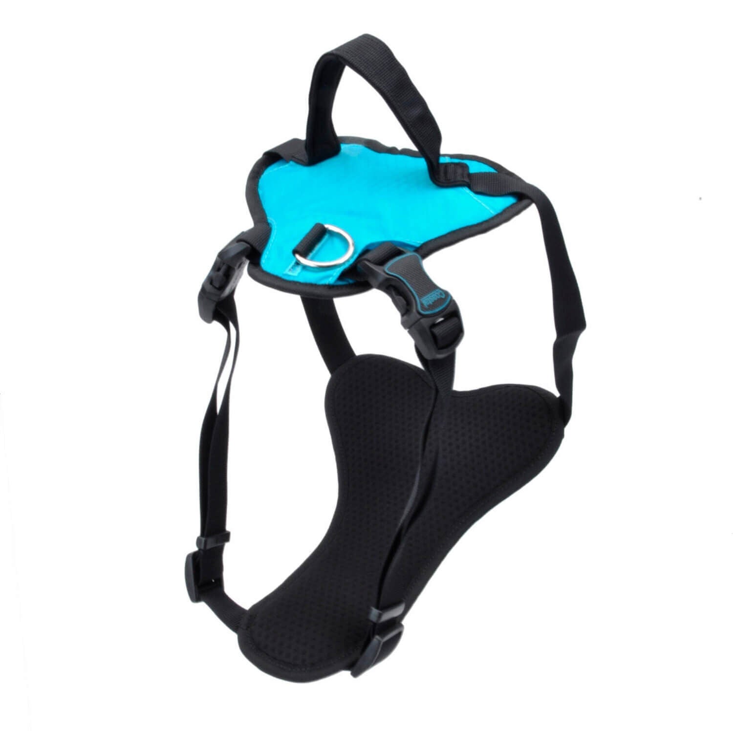Coastal Pet Products Inspire Adjustable Dog Harness With Handle - Inspire Aqua, 5/8X16-24 | 1 S | Pet Supermarket