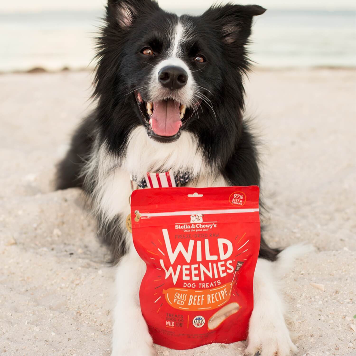 Stella & Chewy's Wild Weenies Grain Free Freeze Dried Dog Treats, Grass Fed Beef Recipe