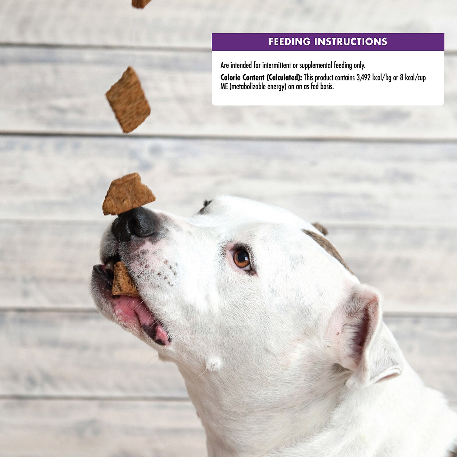 Wellbites dog treats discount